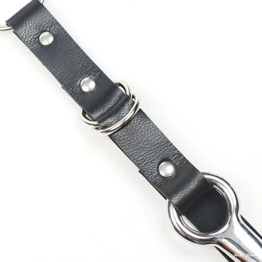 Hook Leash 5853 EverydayUse with Kinky and Anal Collar 1025